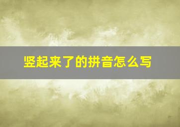 竖起来了的拼音怎么写