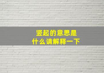 竖起的意思是什么请解释一下