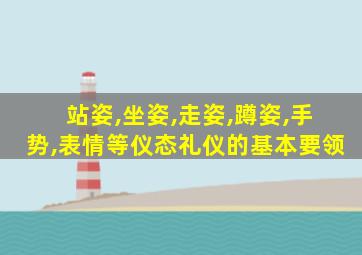 站姿,坐姿,走姿,蹲姿,手势,表情等仪态礼仪的基本要领