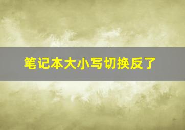 笔记本大小写切换反了