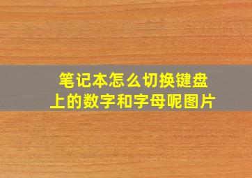 笔记本怎么切换键盘上的数字和字母呢图片