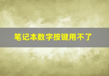 笔记本数字按键用不了