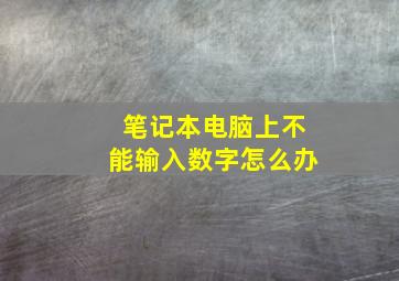 笔记本电脑上不能输入数字怎么办