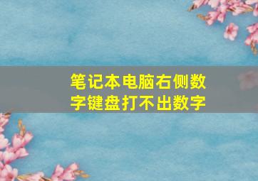 笔记本电脑右侧数字键盘打不出数字