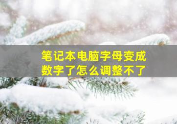 笔记本电脑字母变成数字了怎么调整不了