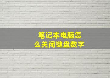 笔记本电脑怎么关闭键盘数字