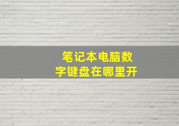 笔记本电脑数字键盘在哪里开