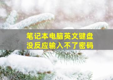 笔记本电脑英文键盘没反应输入不了密码