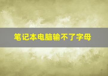 笔记本电脑输不了字母