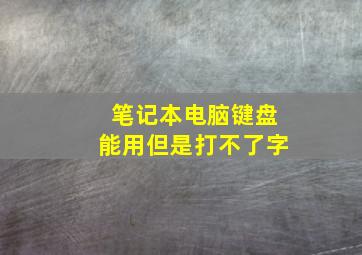 笔记本电脑键盘能用但是打不了字