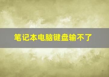 笔记本电脑键盘输不了