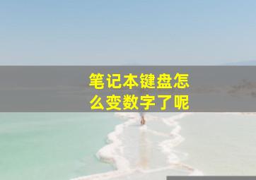 笔记本键盘怎么变数字了呢