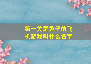 第一关是兔子的飞机游戏叫什么名字