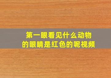 第一眼看见什么动物的眼睛是红色的呢视频