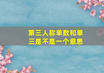 第三人称单数和单三是不是一个意思