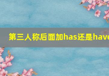 第三人称后面加has还是have