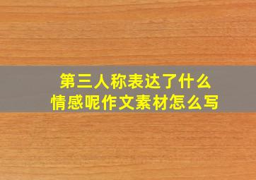 第三人称表达了什么情感呢作文素材怎么写