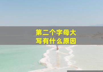 第二个字母大写有什么原因