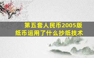 第五套人民币2005版纸币运用了什么抄纸技术