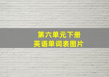 第六单元下册英语单词表图片