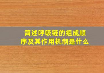 简述呼吸链的组成顺序及其作用机制是什么