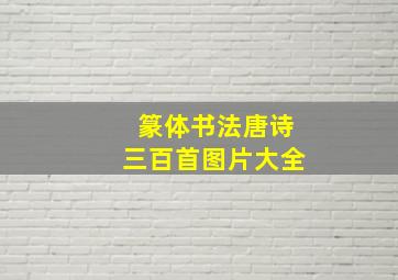 篆体书法唐诗三百首图片大全