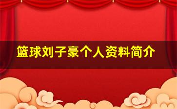 篮球刘子豪个人资料简介