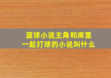 篮球小说主角和库里一起打球的小说叫什么