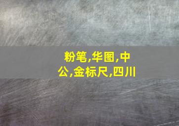 粉笔,华图,中公,金标尺,四川