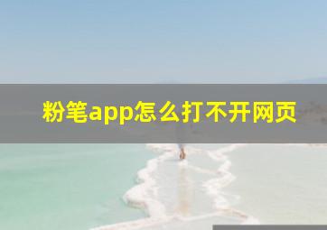 粉笔app怎么打不开网页