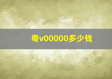 粤v00000多少钱