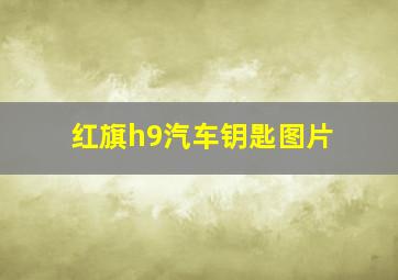 红旗h9汽车钥匙图片