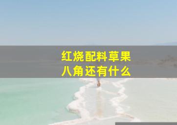 红烧配料草果八角还有什么