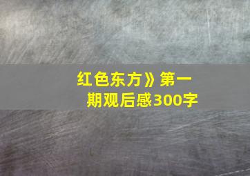 红色东方》第一期观后感300字