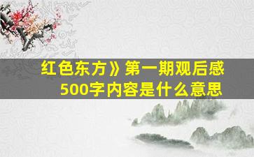 红色东方》第一期观后感500字内容是什么意思