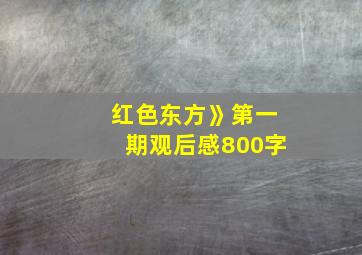 红色东方》第一期观后感800字