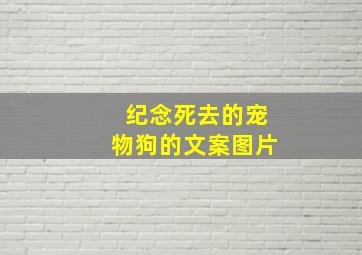 纪念死去的宠物狗的文案图片