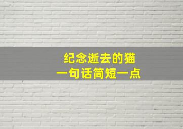 纪念逝去的猫一句话简短一点