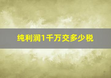 纯利润1千万交多少税