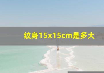 纹身15x15cm是多大