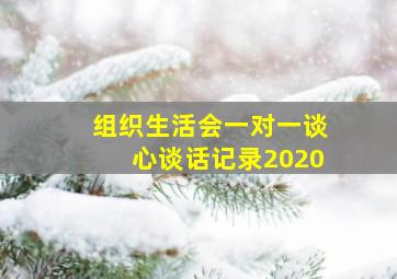 组织生活会一对一谈心谈话记录2020