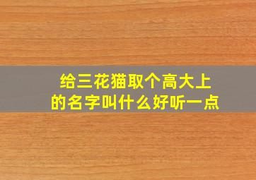 给三花猫取个高大上的名字叫什么好听一点