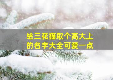 给三花猫取个高大上的名字大全可爱一点