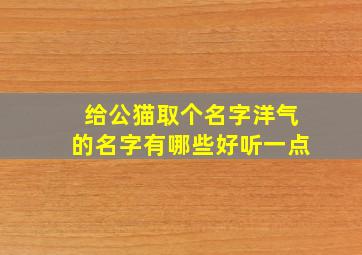 给公猫取个名字洋气的名字有哪些好听一点