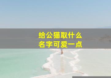 给公猫取什么名字可爱一点