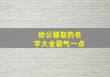 给公猫取的名字大全霸气一点