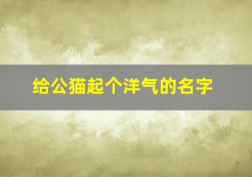 给公猫起个洋气的名字