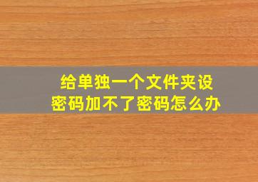 给单独一个文件夹设密码加不了密码怎么办