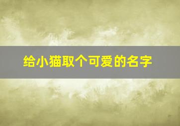 给小猫取个可爱的名字