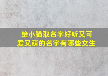 给小猫取名字好听又可爱又萌的名字有哪些女生